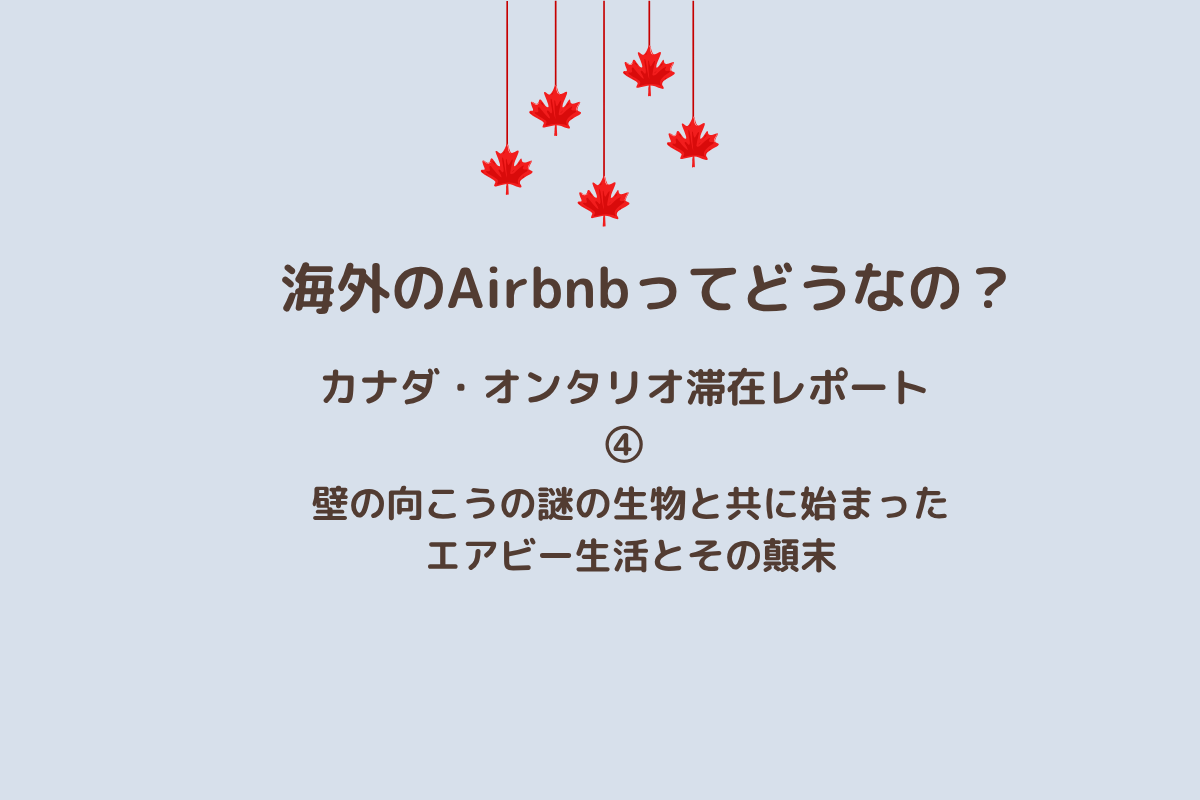 Airbnbレポート④アイキャッチ画像