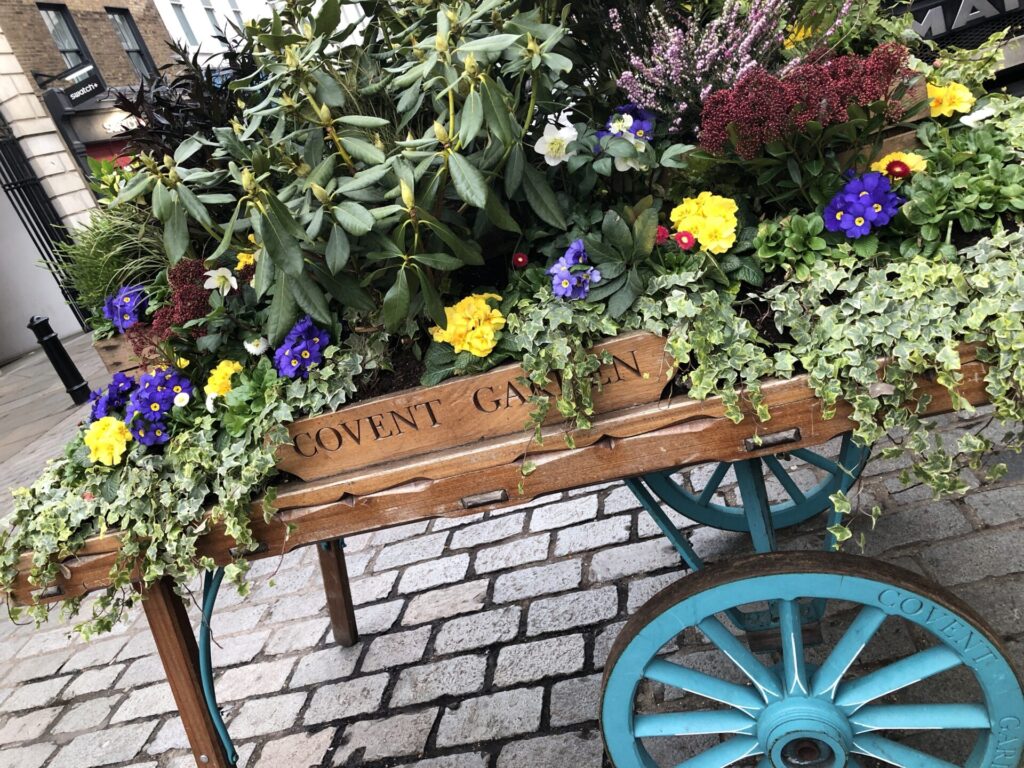 Covent Garden駅前の花