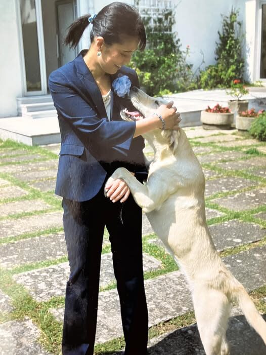 会議の合間に犬にじゃれつかれる図